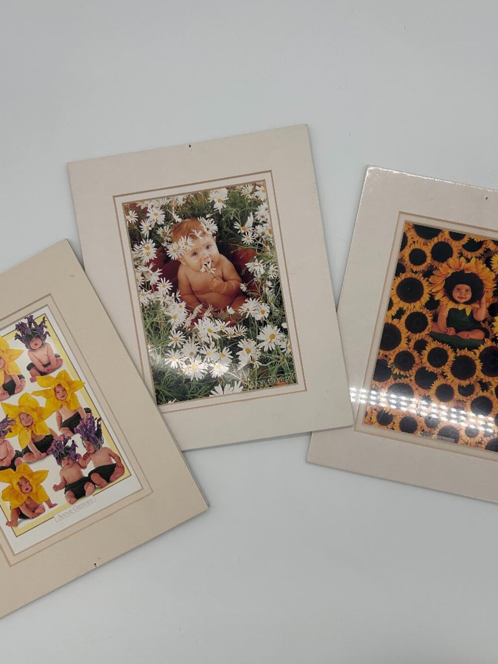 Anne Geddes babies 8x10 matted prints, set of 3 sunflower flowers nursery